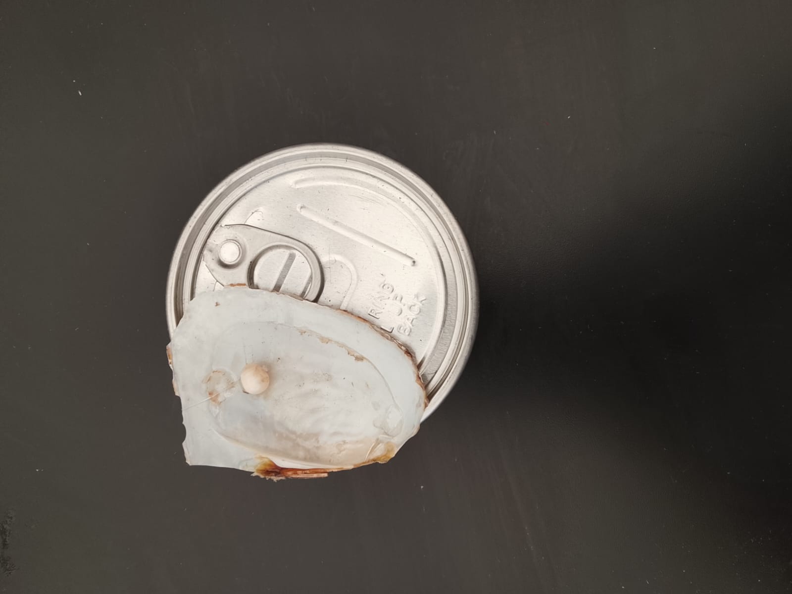 ostrica-con-perla-di-fiume 1€